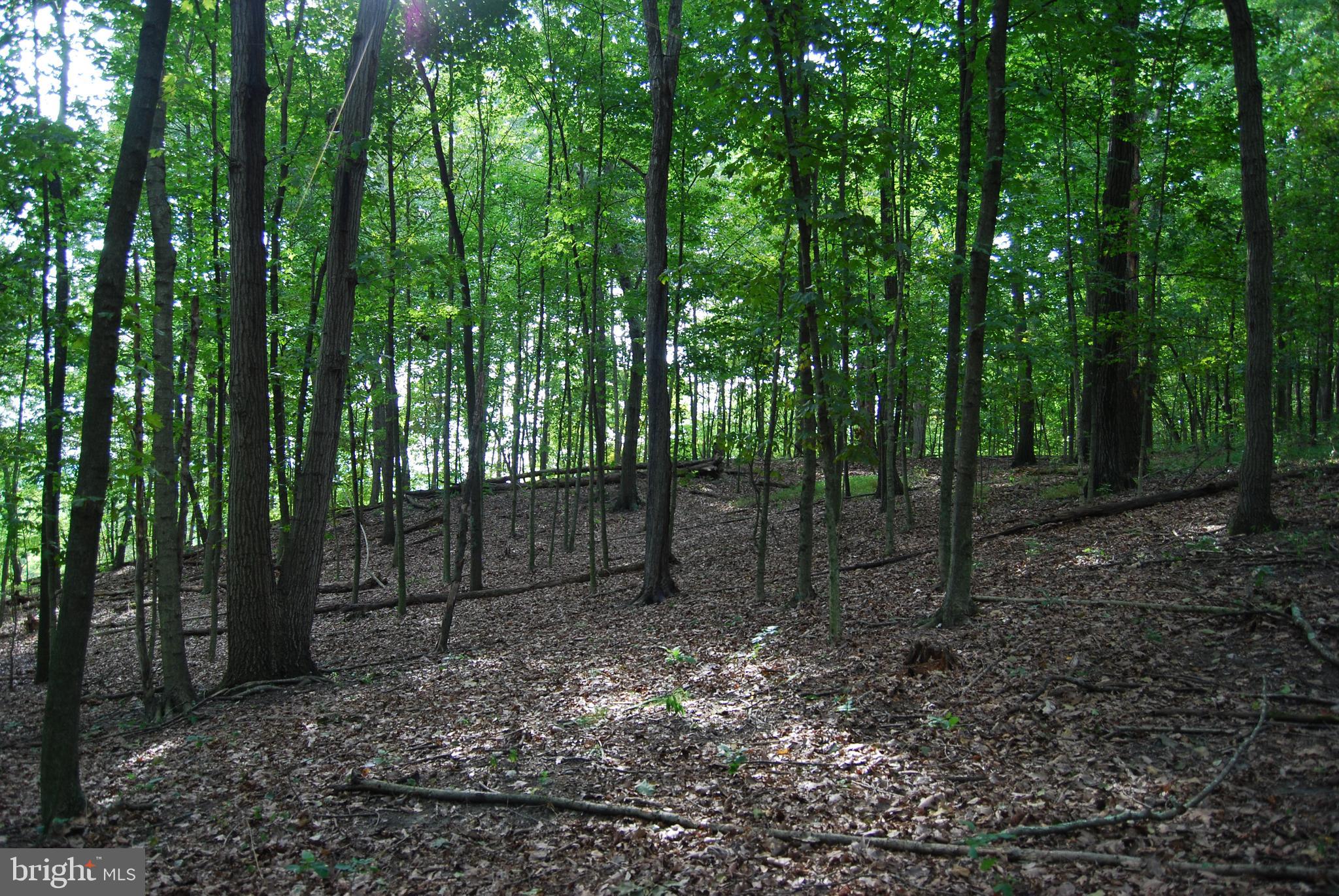 2251 Householder Road Hedgesville, WV 25427 - Photo 45 of 65