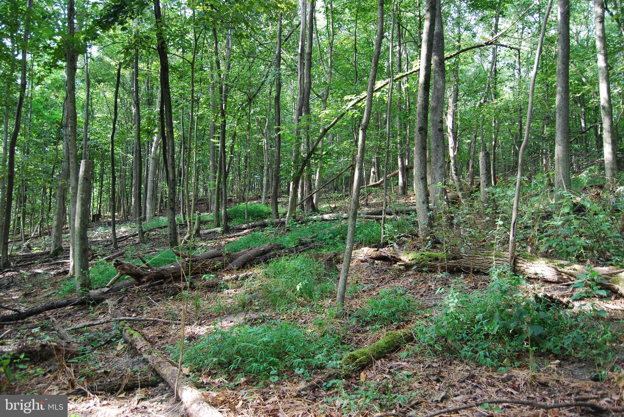 2251 Householder Road Hedgesville, WV 25427 - Photo 47 of 65