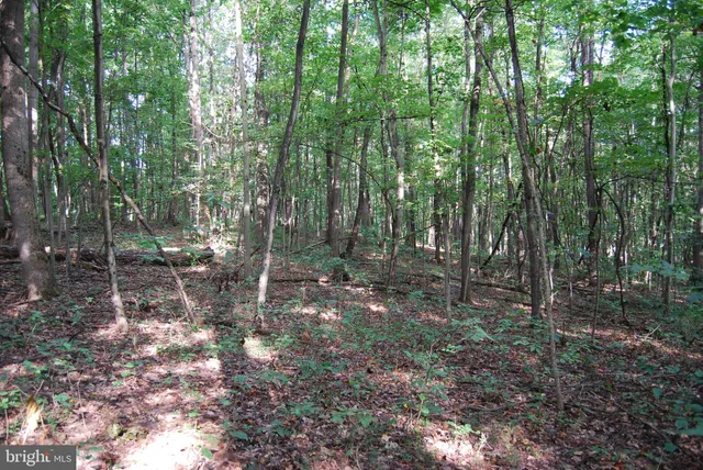 a view of swimming pool