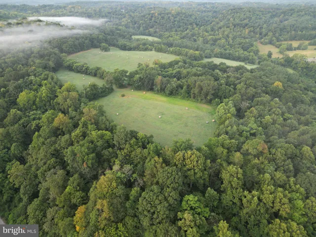 a view of a field of grass and trees