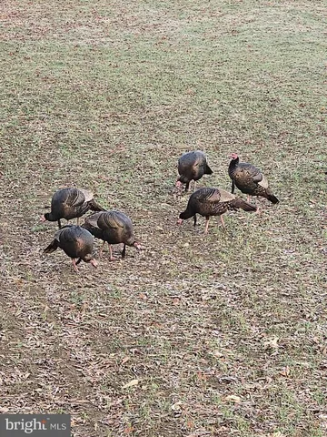 $1,500,000 | 2251 Householder Road, Hedgesville, WV 25427