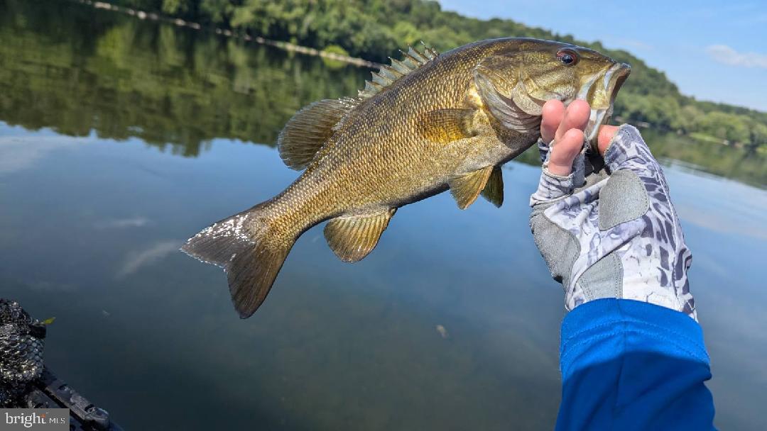 2251 Householder Road Hedgesville, WV 25427 - Photo 53 of 65 a view of a lake