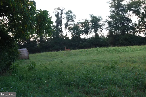 a view of an outdoor space and a yard