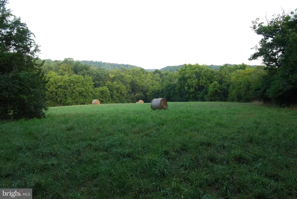 a view of a grassy field with trees