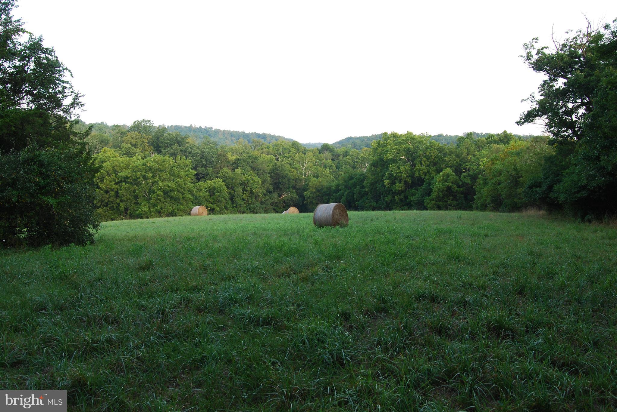 2251 Householder Road Hedgesville, WV 25427 - Photo 7 of 65 a view of a grassy field with trees