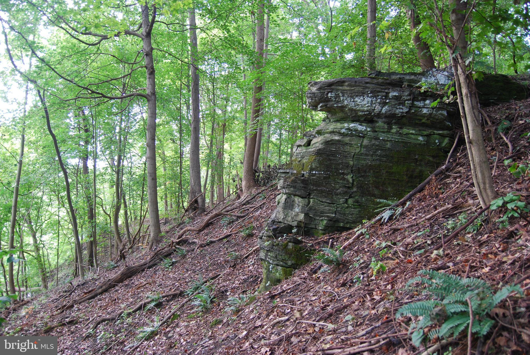 2251 Householder Road Hedgesville, WV 25427 - Photo 10 of 65