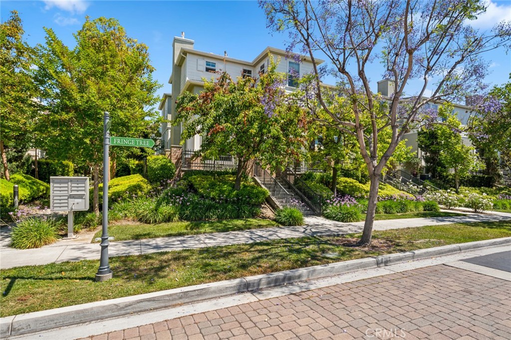 56 Fringe Tree Irvine, CA 92606 - Photo 25 of 26 a backyard of a house with lots of green space