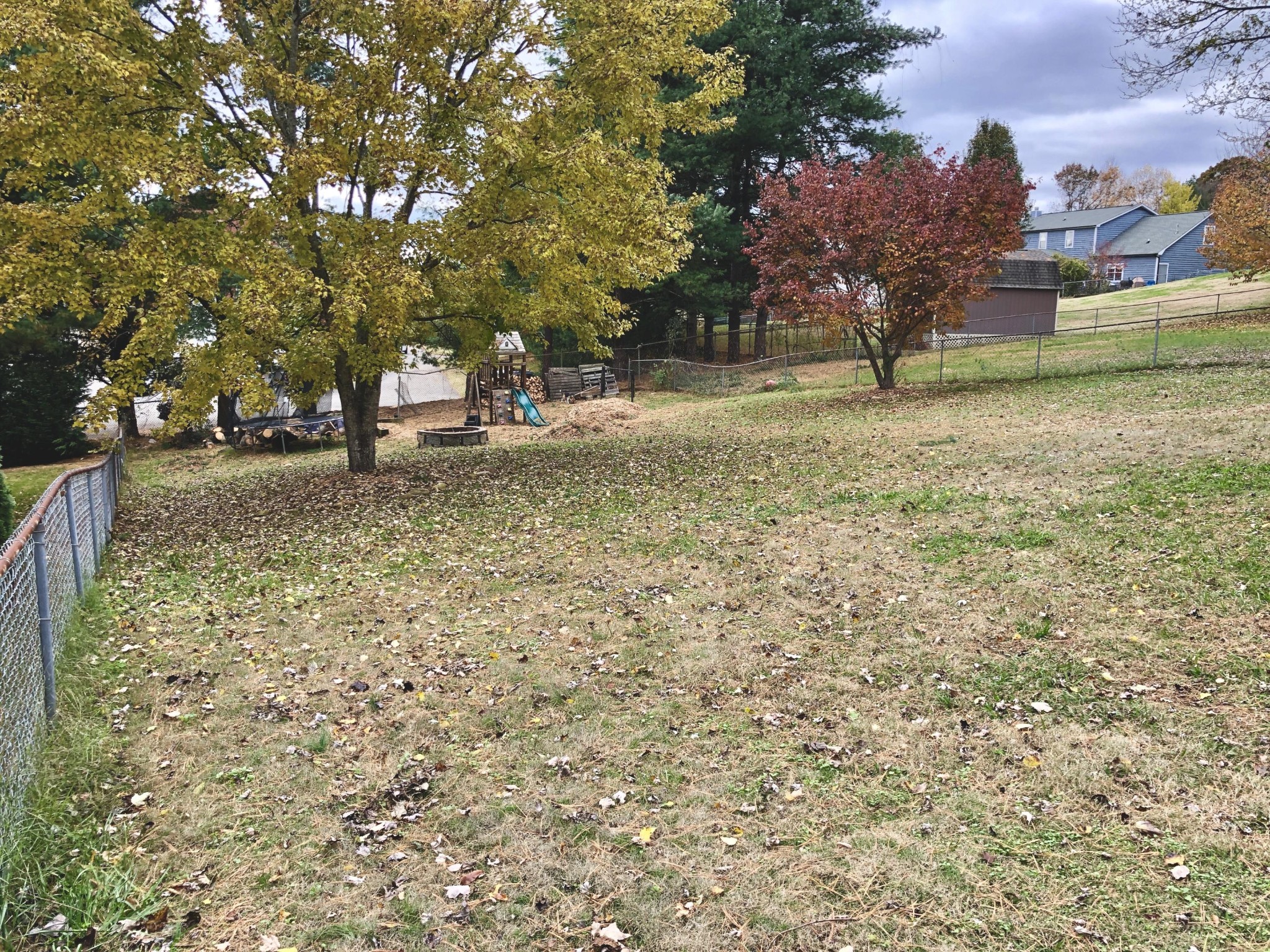 925 Tree Trunk Road Knoxville, TN 37934 - Photo 30 of 32 a view of yard with tree