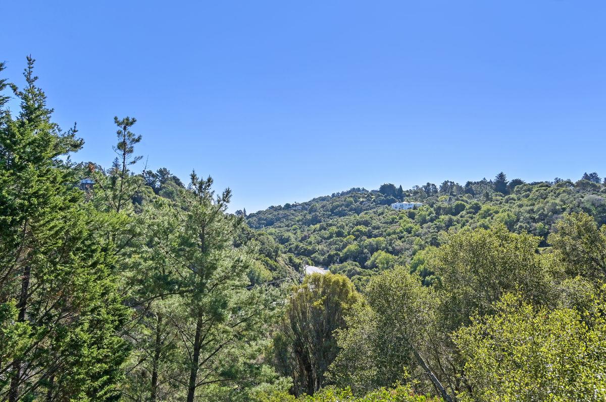 1105 Lakeview Drive Hillsborough, CA 94010 - Photo 43 of 48