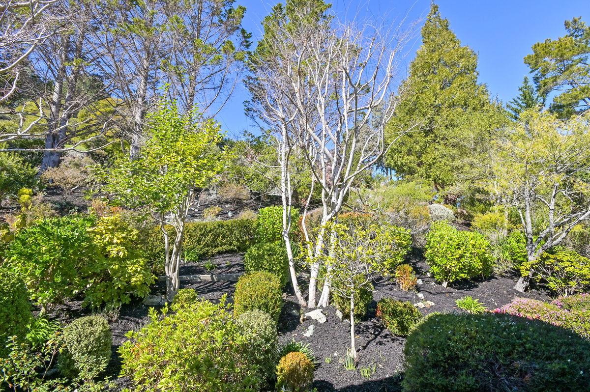 1105 Lakeview Drive Hillsborough, CA 94010 - Photo 47 of 48