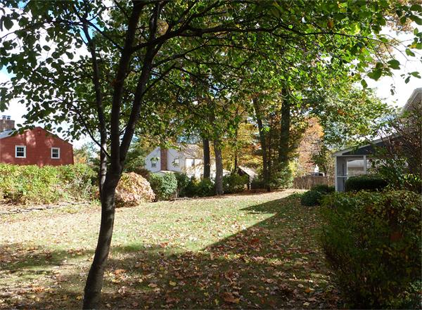 133 West Meadowview Road Holyoke, MA 01040 - Photo 26 of 29 a view of yard with trees