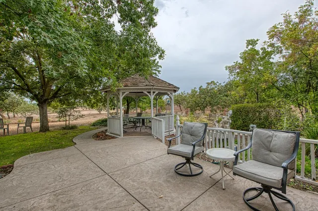 a view of a backyard with large trees