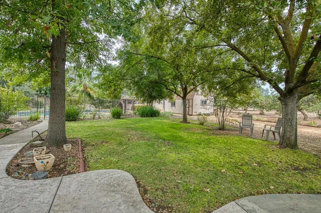 a view of a house with a yard and large trees