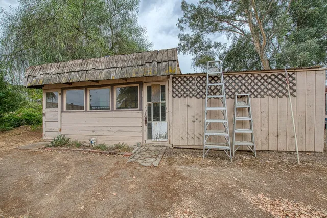 a view of backyard with a barn and a cactus plant