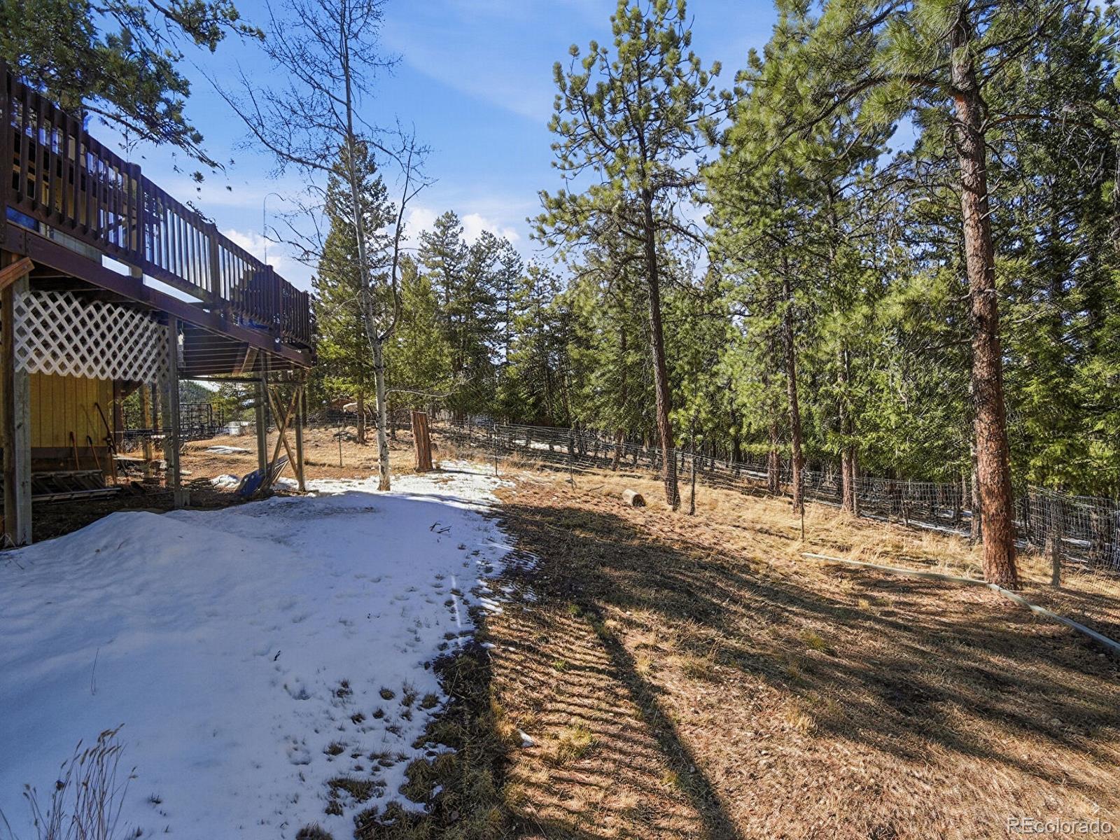 399 Conifer Drive Bailey, CO 80421 - Photo 35 of 42