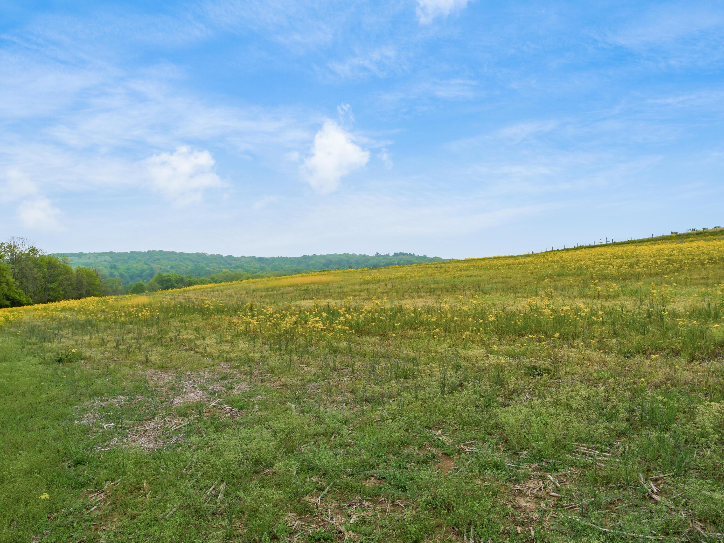 12296 Flint Ridge Road Heath, OH 43056 - Photo 26 of 36 29-z 12296 Flint Ridge069