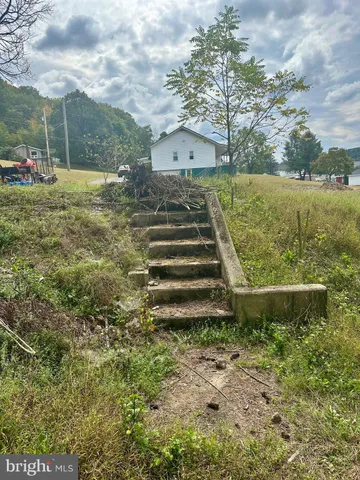 a view of a yard with plants and a bench