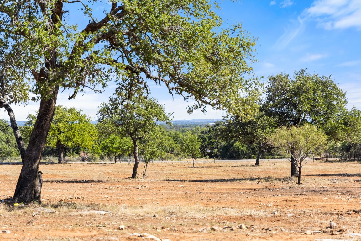a view of yard with trees