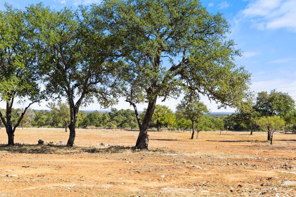 2560 Towhead Valley Road Johnson City, TX 78636 - Photo 2 of 10 a view of a yard with trees
