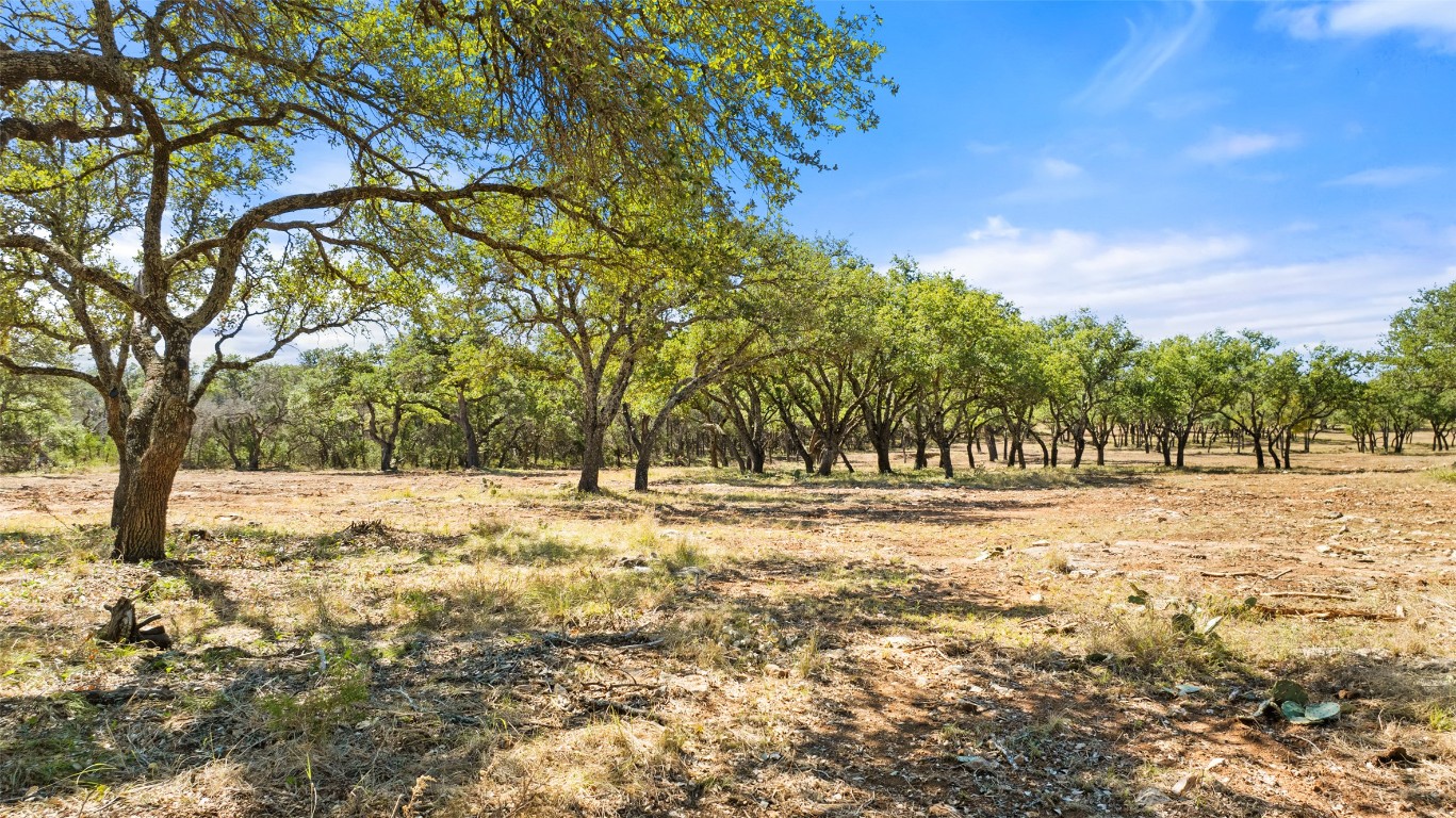2560 Towhead Valley Road Johnson City, TX 78636 - Photo 3 of 10 a view of a yard with a trees