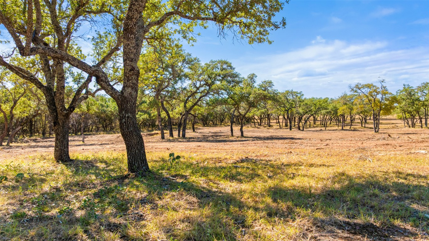2560 Towhead Valley Road Johnson City, TX 78636 - Photo 7 of 10 a view of yard with trees