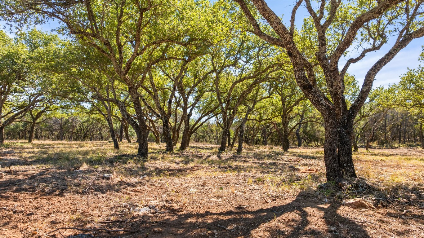 2560 Towhead Valley Road Johnson City, TX 78636 - Photo 8 of 10 a view of yard with trees
