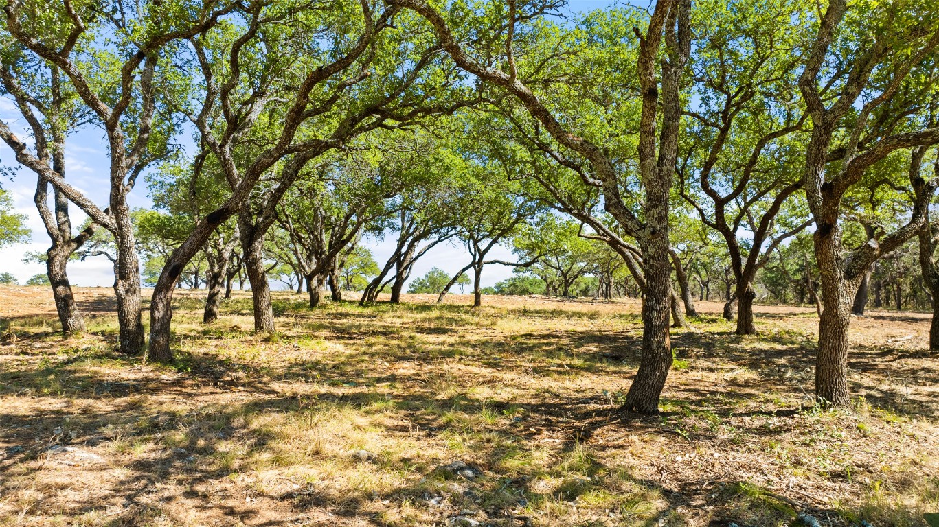 2560 Towhead Valley Road Johnson City, TX 78636 - Photo 9 of 10 a view of yard with trees