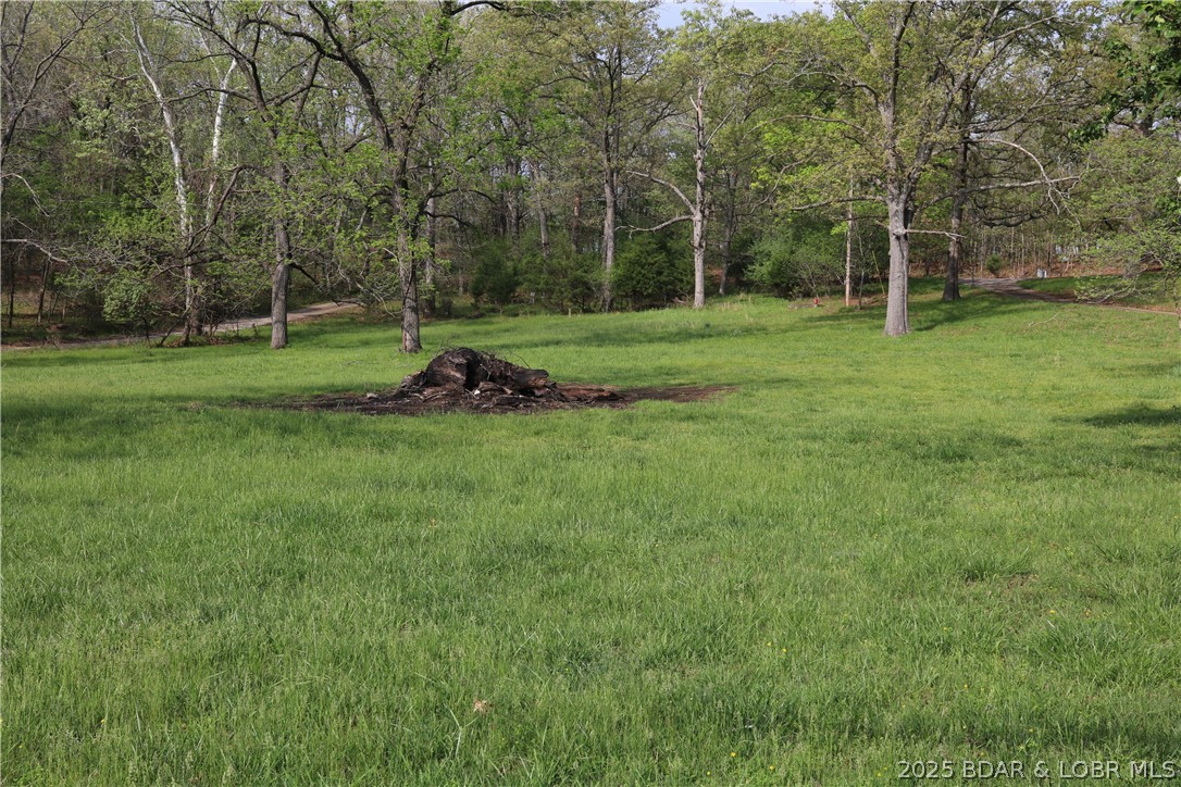 30293 Autumn Road Gravois Mills, MO 65037 - Photo 53 of 63