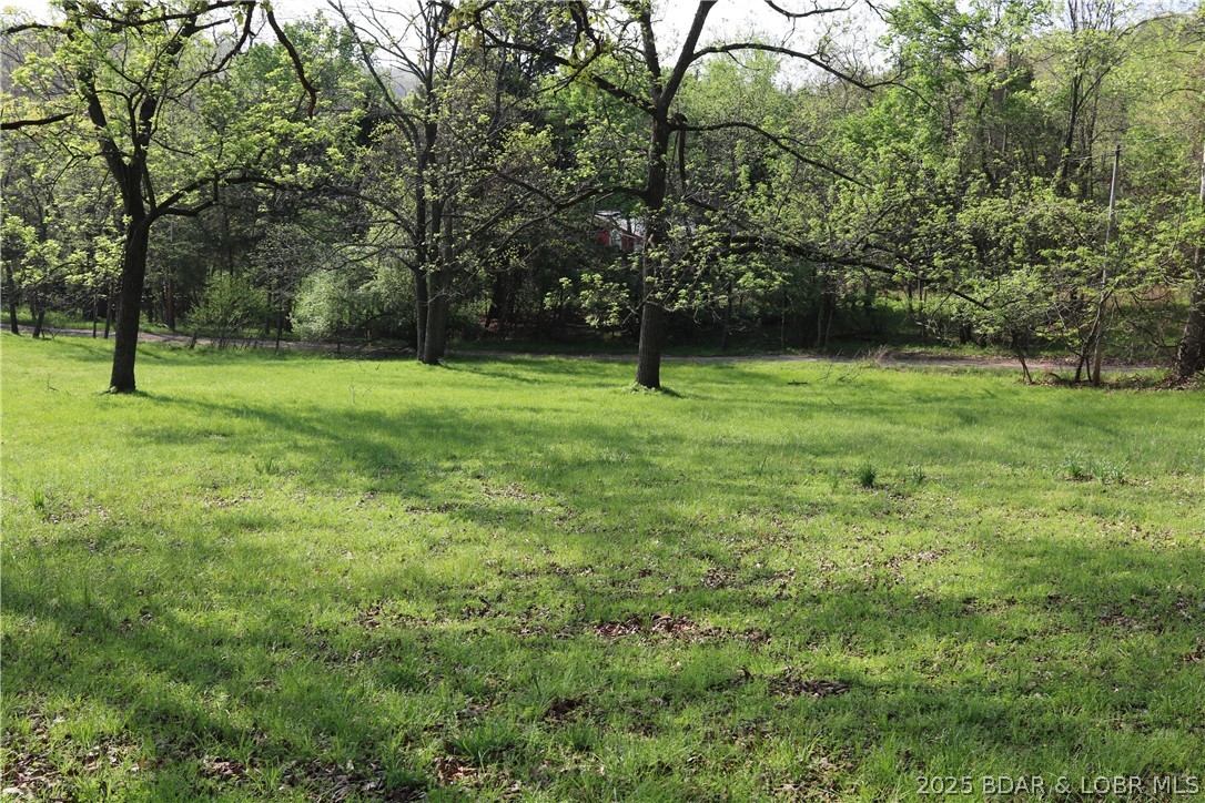 30293 Autumn Road Gravois Mills, MO 65037 - Photo 7 of 63