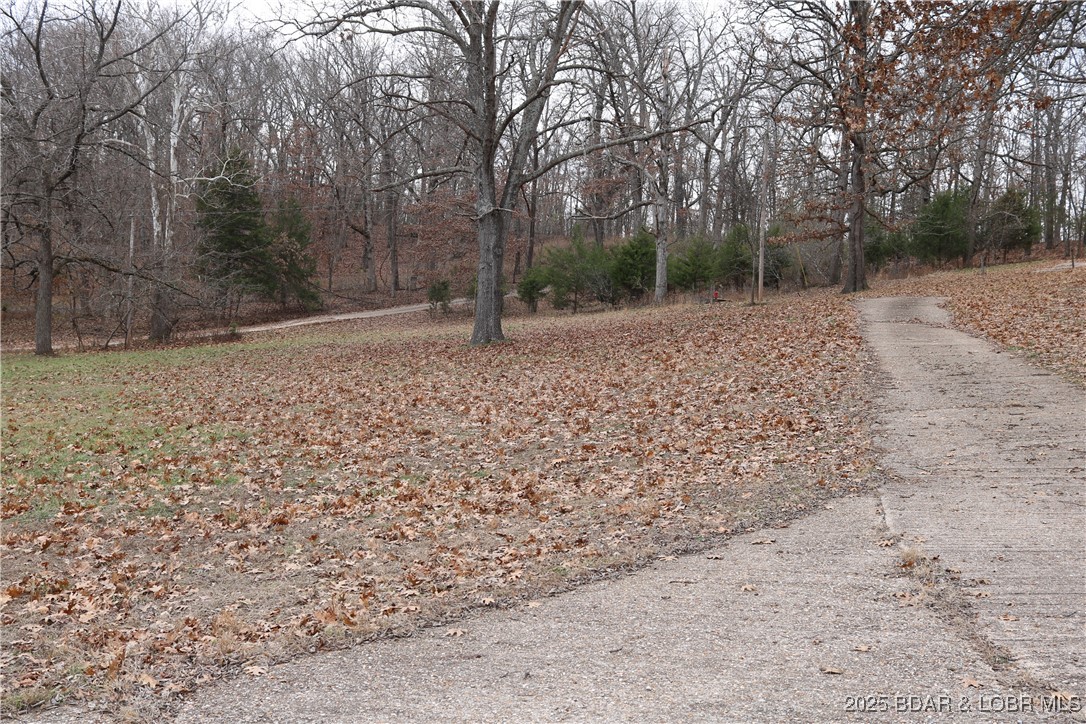 30293 Autumn Road Gravois Mills, MO 65037 - Photo 7 of 59