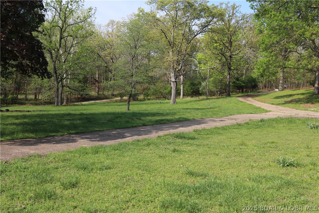 30293 Autumn Road Gravois Mills, MO 65037 - Photo 8 of 63