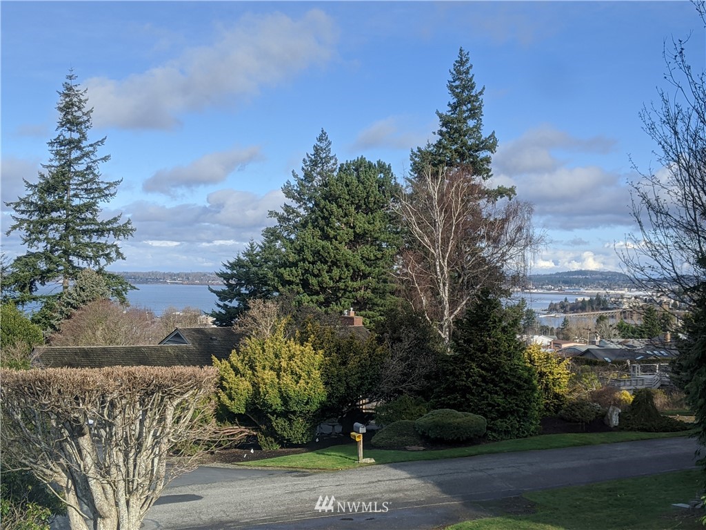 242 Middlefield Road Bellingham, WA 98225 - Photo 2 of 31 a view of a yard