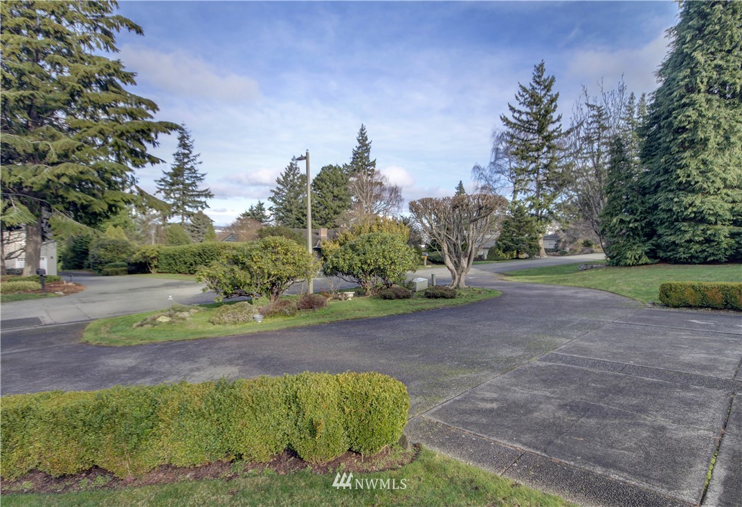 242 Middlefield Road Bellingham, WA 98225 - Photo 31 of 31 a view of a park with large trees