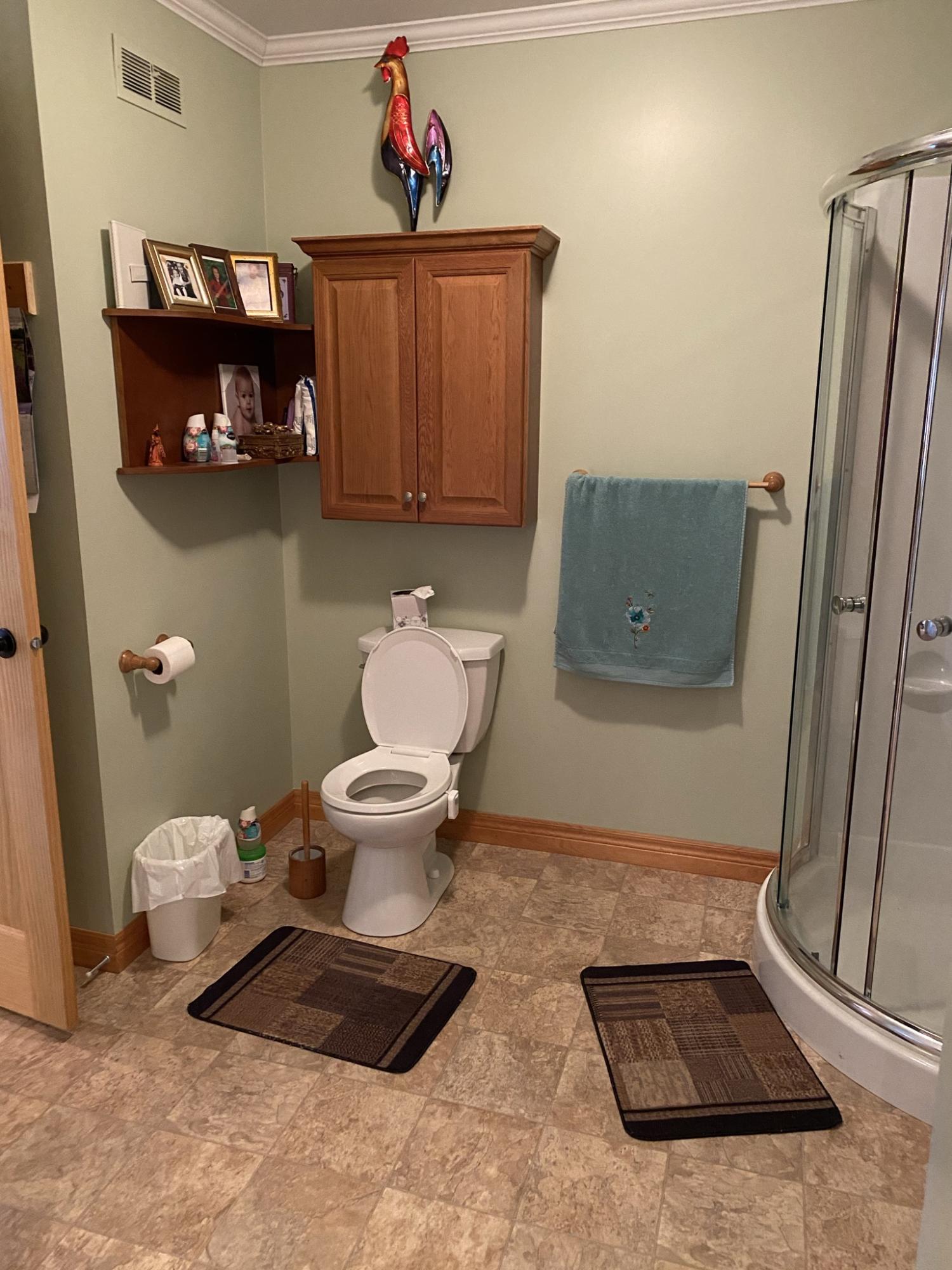750 Beaulieu Road St. David, ME 04773 - Photo 23 of 82 IMG_2672