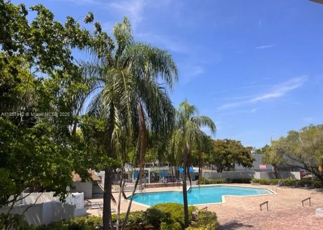 a view of a yard with palm tree