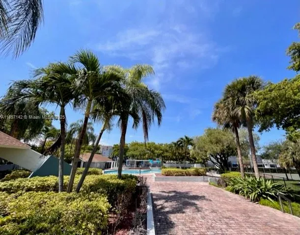 a view of a backyard