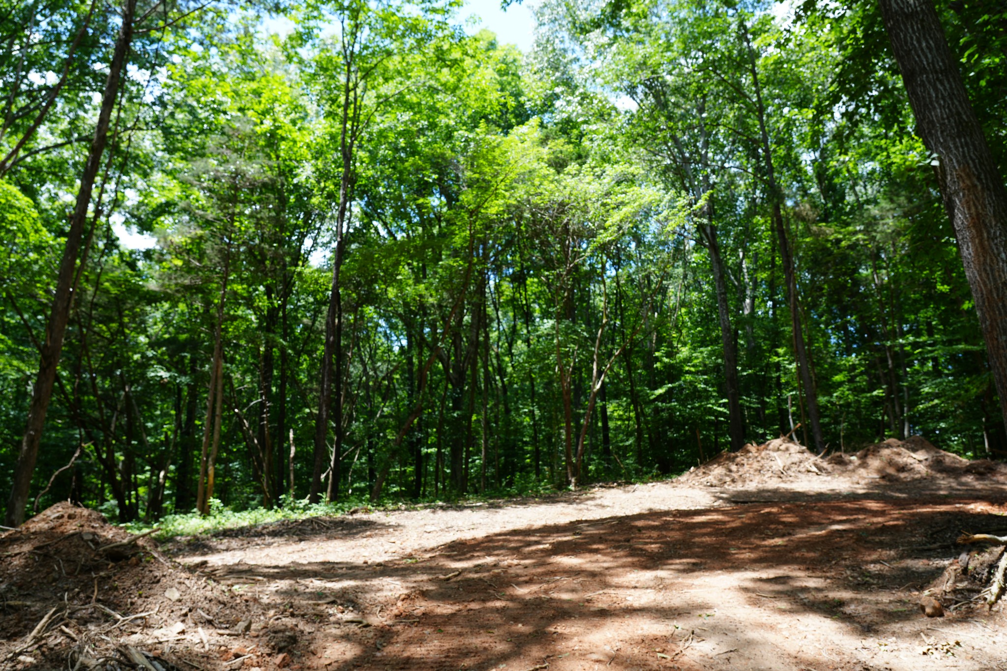 1 Budds Creek Road Palmyra, TN 37142 - Photo 53 of 76