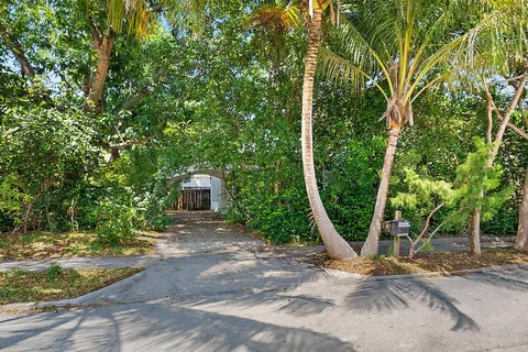 a view of a backyard with potted plants and large tree