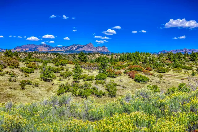 $968,500 | 521 Spring Creek Circle, Chromo, CO 81128