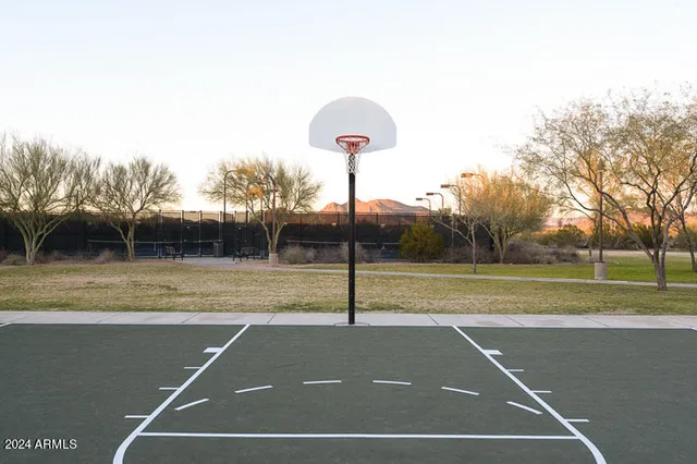 a view of a field with a tree in front of it