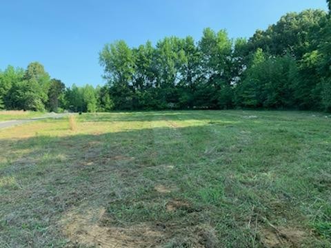3100 Maxey Road Cedar Hill, TN 37032 - Photo 5 of 7 Gallery Image 5