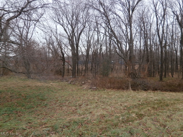 5863 South Ridge Road Madison, OH 44057 - Photo 5 of 19
