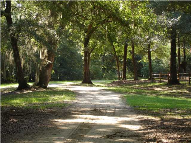 6 L And J Estates Road Ravenel, SC 29470 - Photo 3 of 13 Additional Photo