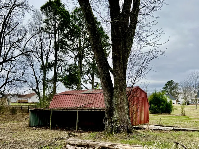 a view of large trees with a house