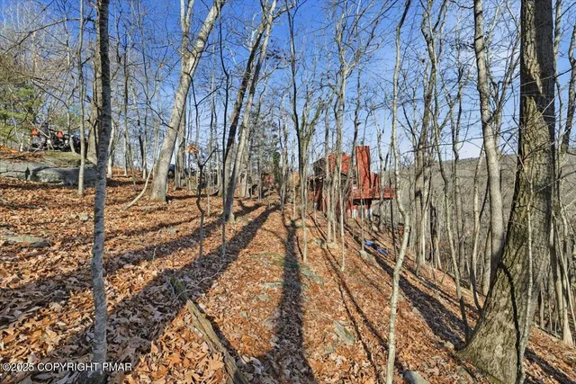a view of a backyard of the house
