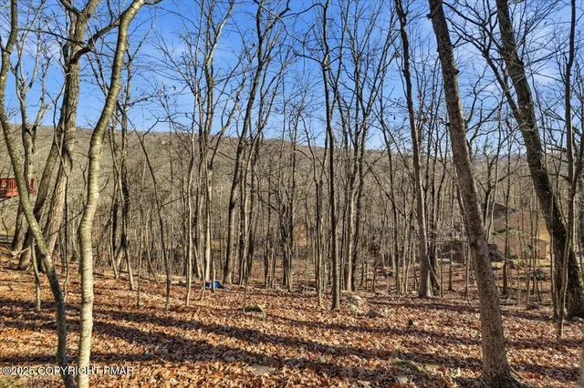 a view of a yard with trees