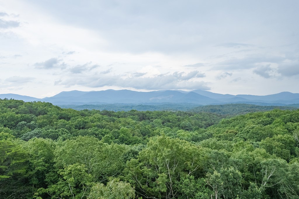 770 Flagpole Road Ellijay, GA 30540 - Photo 12 of 78 Gallery Image 12
