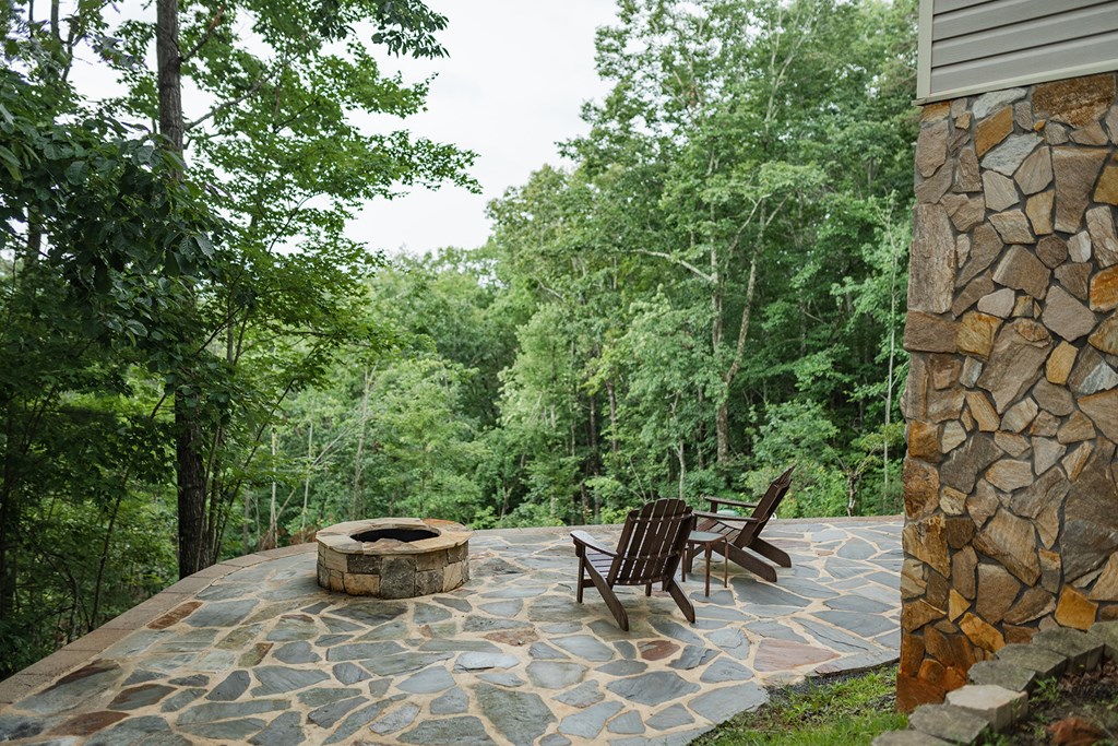 770 Flagpole Road Ellijay, GA 30540 - Photo 13 of 78 Gallery Image 13