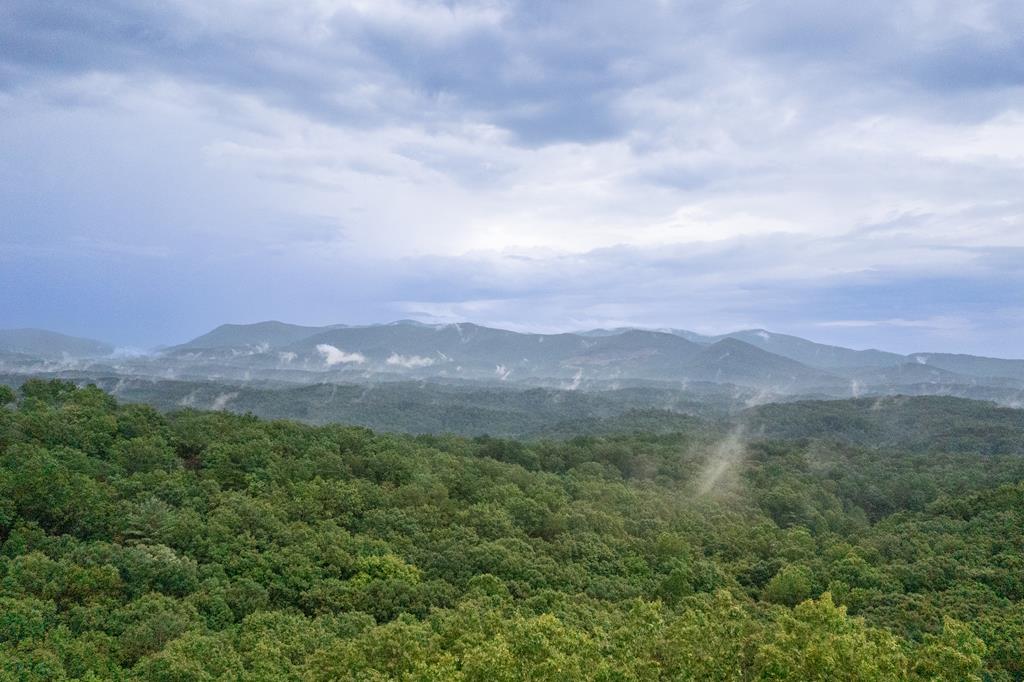 770 Flagpole Road Ellijay, GA 30540 - Photo 69 of 78 Gallery Image 69