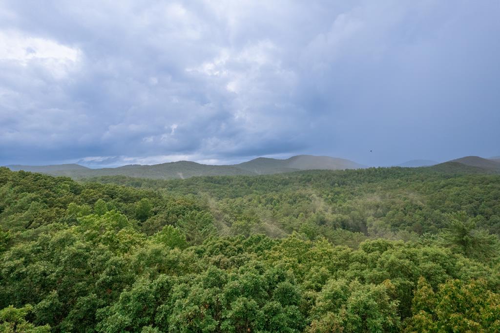 770 Flagpole Road Ellijay, GA 30540 - Photo 75 of 78 Gallery Image 75
